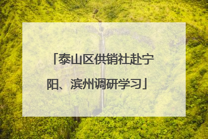 泰山区供销社赴宁阳、滨州调研学习