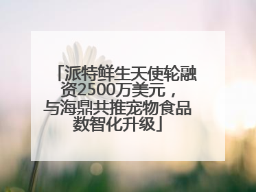 派特鲜生天使轮融资2500万美元，与海鼎共推宠物食品数智化升级
