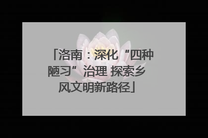 洛南：深化“四种陋习”治理 探索乡风文明新路径