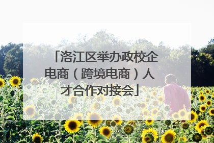 洛江区举办政校企电商（跨境电商）人才合作对接会