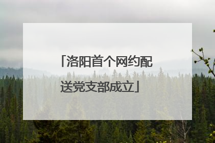 洛阳首个网约配送党支部成立
