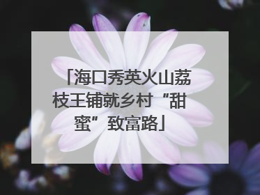 海口秀英火山荔枝王铺就乡村“甜蜜”致富路