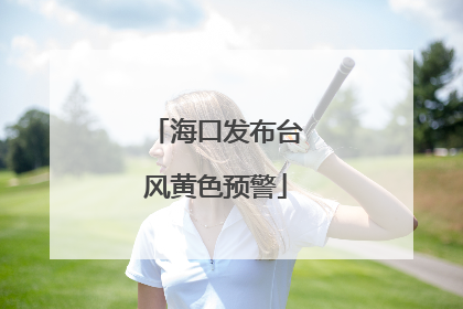 海口发布台风黄色预警