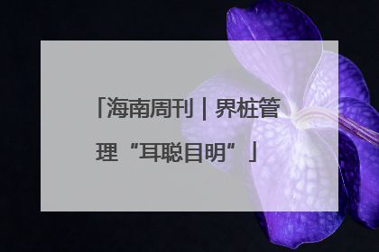 海南周刊｜界桩管理“耳聪目明”