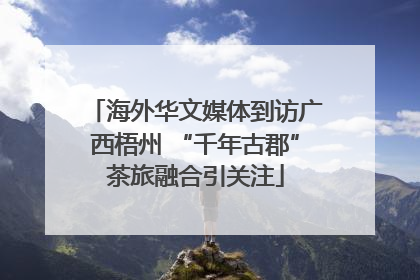 海外华文媒体到访广西梧州 “千年古郡”茶旅融合引关注