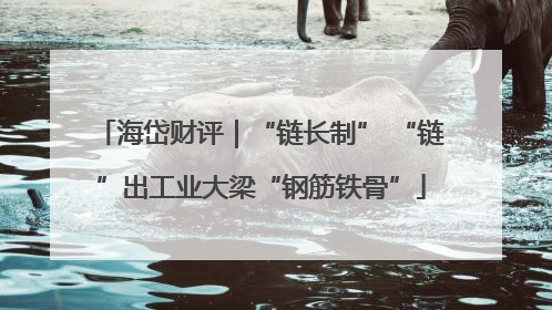 海岱财评｜“链长制” “链”出工业大梁“钢筋铁骨”
