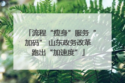 流程“瘦身”服务“加码” 山东政务改革跑出“加速度”