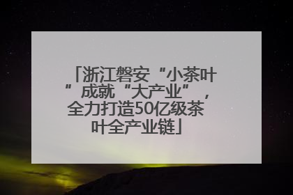 浙江磐安“小茶叶”成就“大产业”，全力打造50亿级茶叶全产业链