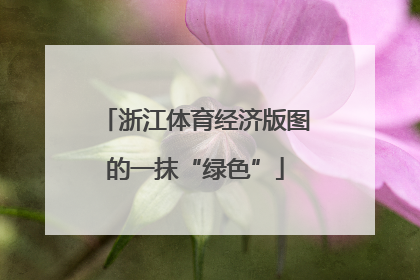 浙江体育经济版图的一抹“绿色”