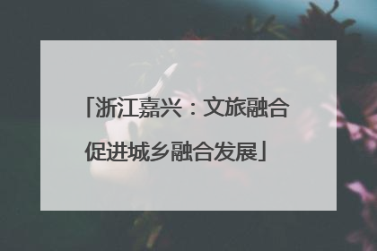 浙江嘉兴：文旅融合促进城乡融合发展