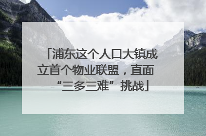浦东这个人口大镇成立首个物业联盟，直面“三多三难”挑战