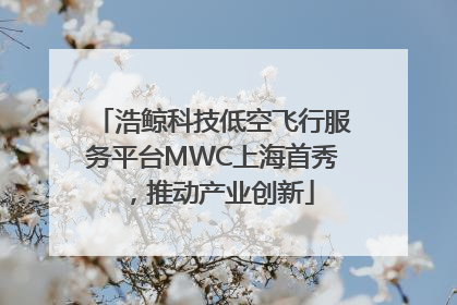 浩鲸科技低空飞行服务平台MWC上海首秀，推动产业创新
