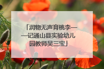 润物无声育桃李——记通山县实验幼儿园教师吴三宝