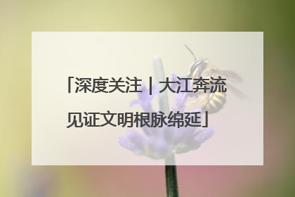 深度关注｜大江奔流见证文明根脉绵延