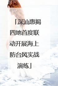 深汕惠揭四地首度联动开展海上防台风实战演练