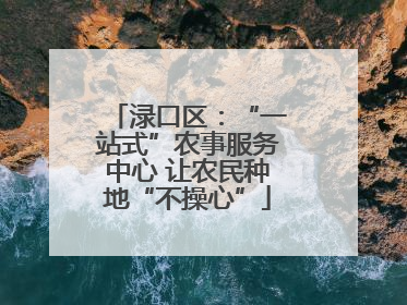 渌口区：“一站式”农事服务中心 让农民种地“不操心”