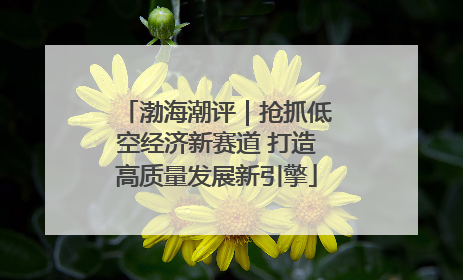 渤海潮评｜抢抓低空经济新赛道 打造高质量发展新引擎