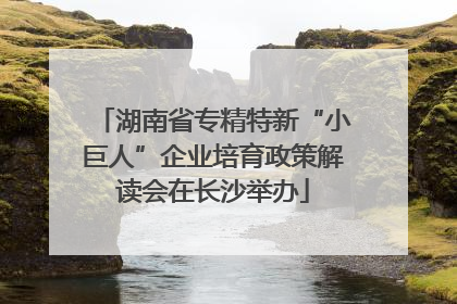 湖南省专精特新“小巨人”企业培育政策解读会在长沙举办