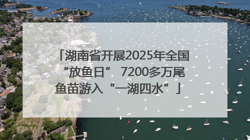 湖南省开展2025年全国“放鱼日” 7200多万尾鱼苗游入“一湖四水”