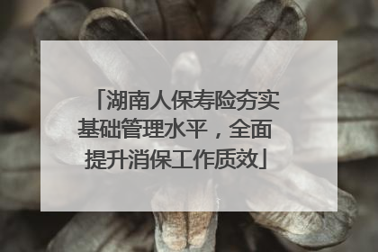 湖南人保寿险夯实基础管理水平，全面提升消保工作质效