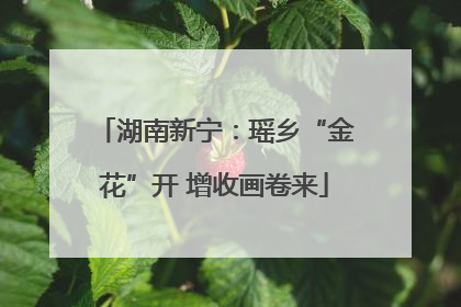 湖南新宁：瑶乡“金花”开 增收画卷来