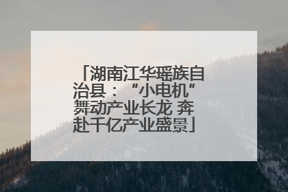 湖南江华瑶族自治县：“小电机”舞动产业长龙 奔赴千亿产业盛景