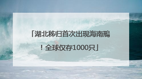 湖北秭归首次出现海南鳽！全球仅存1000只