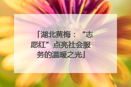 湖北黄梅：“志愿红”点亮社会服务的温暖之光
