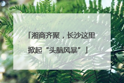 湘商齐聚，长沙这里掀起“头脑风暴”