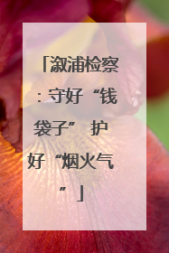 溆浦检察：守好“钱袋子” 护好“烟火气”