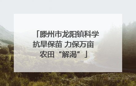 滕州市龙阳镇科学抗旱保苗 力保万亩农田“解渴”