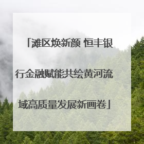滩区焕新颜 恒丰银行金融赋能共绘黄河流域高质量发展新画卷