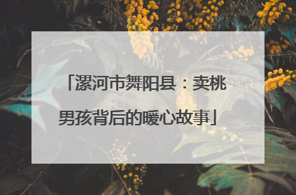 漯河市舞阳县：卖桃男孩背后的暖心故事