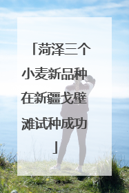 菏泽三个小麦新品种在新疆戈壁滩试种成功