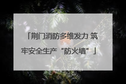 荆门消防多维发力 筑牢安全生产“防火墙”