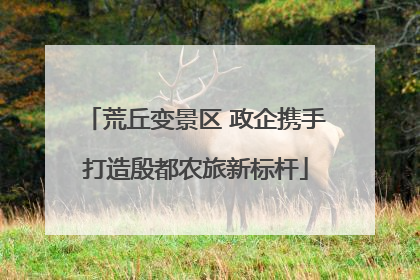 荒丘变景区 政企携手打造殷都农旅新标杆