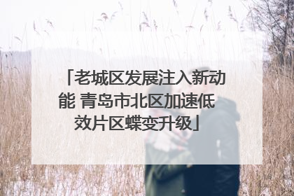 老城区发展注入新动能 青岛市北区加速低效片区蝶变升级