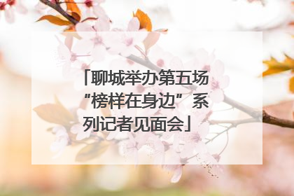 聊城举办第五场“榜样在身边”系列记者见面会