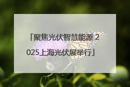 聚焦光伏智慧能源 2025上海光伏展举行