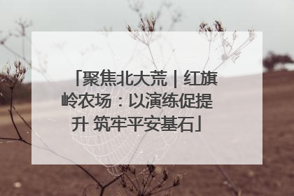 聚焦北大荒｜红旗岭农场：以演练促提升 筑牢平安基石