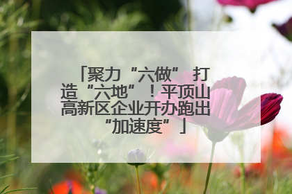 聚力“六做” 打造“六地”！平顶山高新区企业开办跑出“加速度”