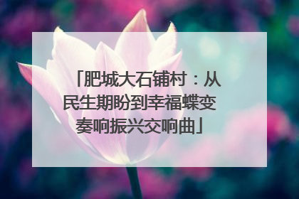 肥城大石铺村：从民生期盼到幸福蝶变奏响振兴交响曲