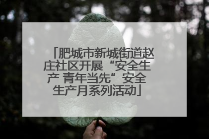 肥城市新城街道赵庄社区开展“安全生产 青年当先”安全生产月系列活动