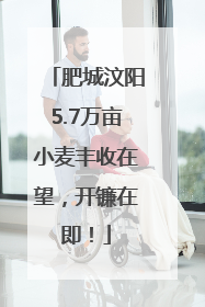 肥城汶阳5.7万亩小麦丰收在望，开镰在即！