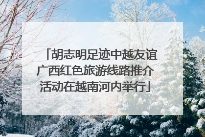 胡志明足迹中越友谊广西红色旅游线路推介活动在越南河内举行
