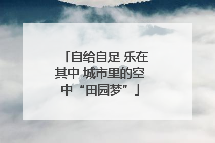 自给自足 乐在其中 城市里的空中“田园梦”