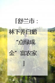 舒兰市：林下养白鹅 “点绿成金”富农家