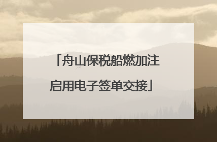 舟山保税船燃加注启用电子签单交接