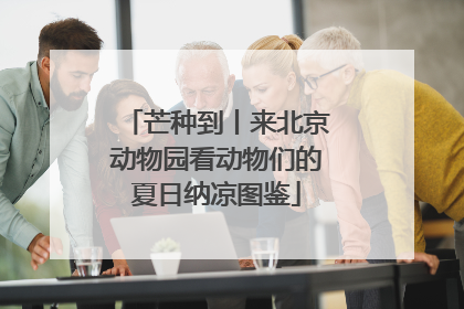芒种到丨来北京动物园看动物们的夏日纳凉图鉴