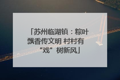 苏州临湖镇：粽叶飘香传文明 村村有“戏”树新风